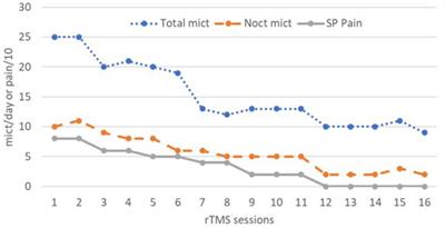 Long-Term Relief of Painful Bladder Syndrome by High-Intensity, Low-Frequency Repetitive Transcranial Magnetic Stimulation of the Right and Left Dorsolateral Prefrontal Cortices